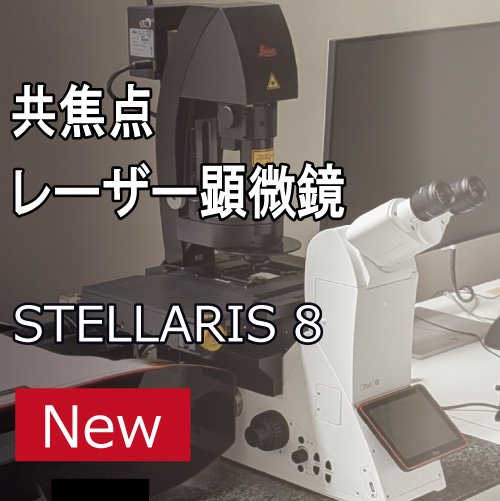 共焦点レーザー顕微鏡ST8