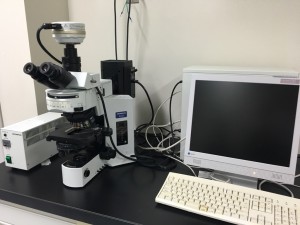 システム蛍光顕微鏡 BX51